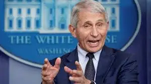 Calls for Fauci's arrest have been made in the past week